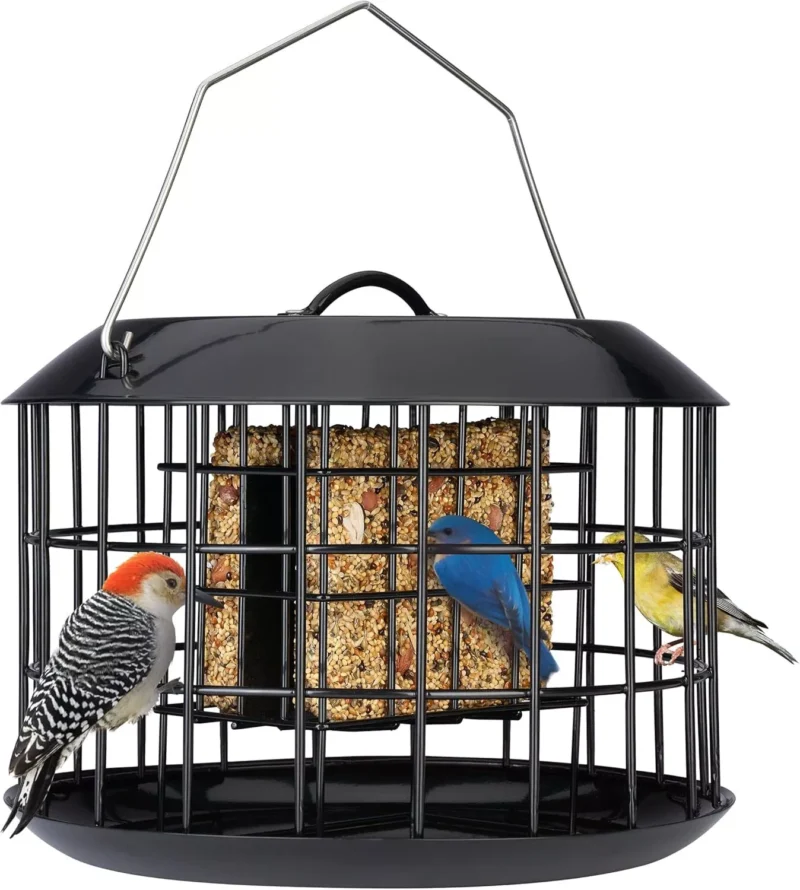 Squirrel Proof Suet Feeder Cage Bird Feeders for Outdoors Hanging All Metal